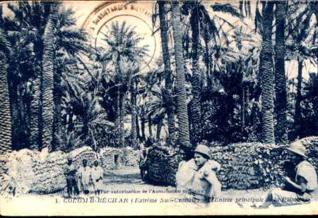 COLOMB-BECHAR - la Palmeraie