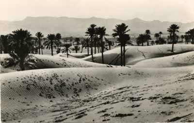COLOMB-BECHAR - les dunes