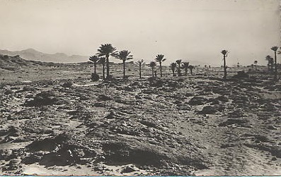 COLOMB-BECHAR - les environs