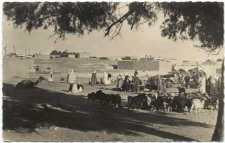 COLOMB-BECHAR - une caravane