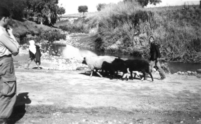 DOMBASLE - Environs - Oued Haddad