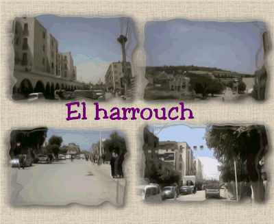 EL HARROUCH