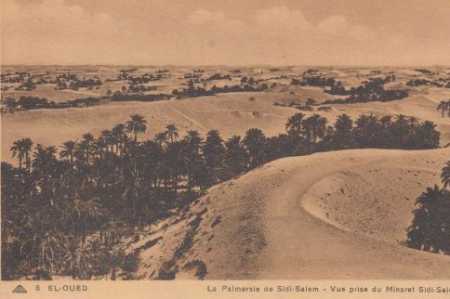 EL OUED - La Palmeraie de Sidi-Salem