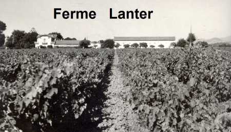 FELIX-FAURE - La Ferme LANTER