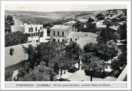 Vue panoramique de FRENDA
1956