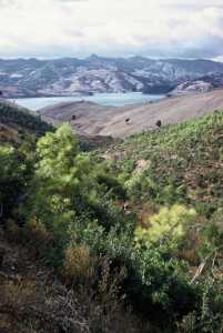 Commando dans l'Ouarsenis (Oued Fodda)