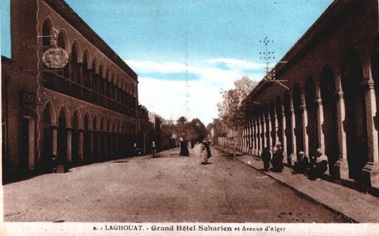 LAGHOUAT - Avenue d'Alger