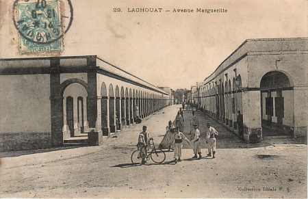 LAGHOUAT - L'Avenue Marguerite