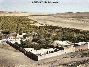 LAGHOUAT - La Palmeraie