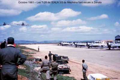 Octobre 1961 - Les T-28 de MECHERIA