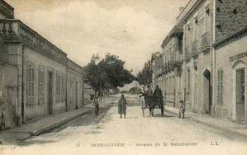 MOSTAGANEM - Avenue de la Salamandre