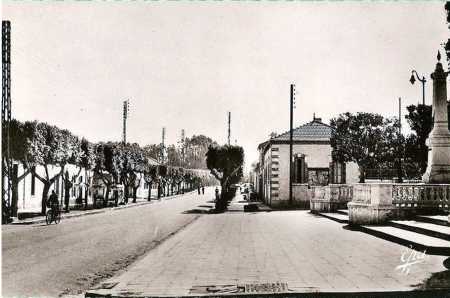 L'Avenue de Cherchell