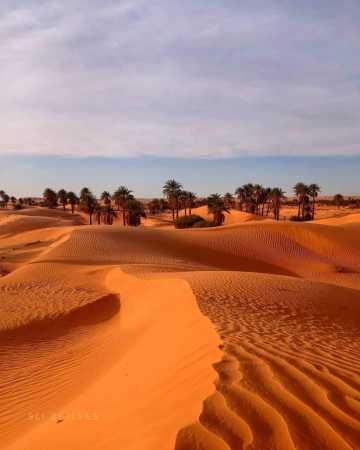 OARGLA - Oasis de Taibine