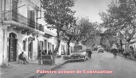 PALESTRO - Avenue de Constantine