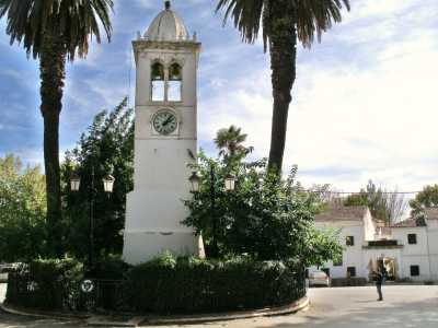 MILIANA - La Place de l'Horloge