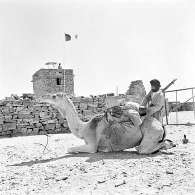 La HARKA des REGUIBAT de TINDOUF