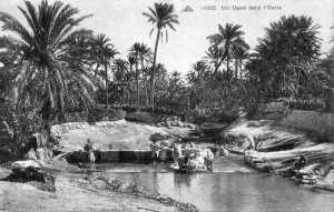 SAHARA - Un Oued dans un Oasis