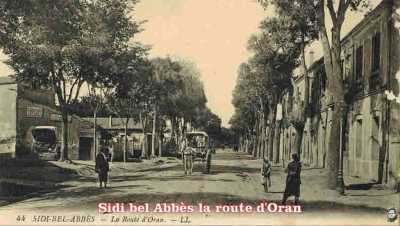 SIDI-BEL-ABBES - La route d'ORAN