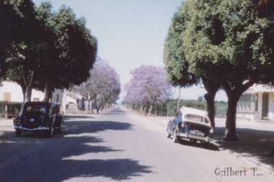 SIDI-MOUSSA - 1956