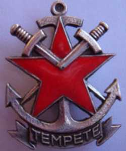 insigne du Commando TEMPETE