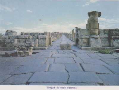 TIMGAD - La Voie Maximus